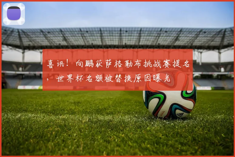 喜讯！向鹏获萨格勒布挑战赛提名，世界杯名额被替换原因曝光