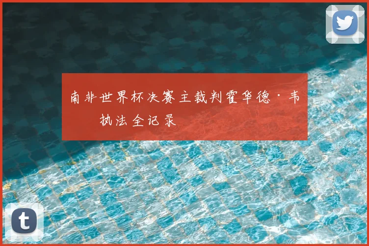 南非世界杯决赛主裁判霍华德·韦伯执法全记录