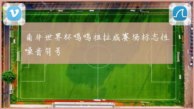 南非世界杯呜呜祖拉成赛场标志性噪音符号