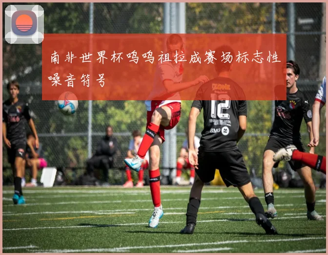 南非世界杯呜呜祖拉成赛场标志性噪音符号