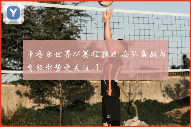 卡塔尔世界杯赛程推进 各队备战与晋级形势受关注_1
