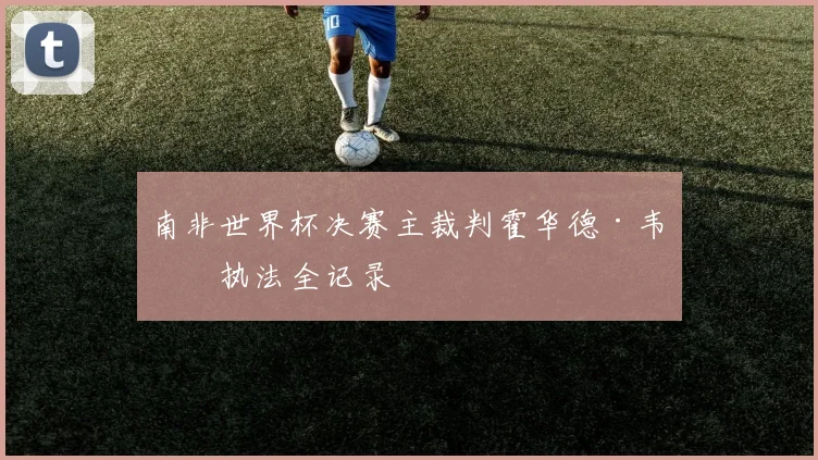 南非世界杯决赛主裁判霍华德·韦伯执法全记录