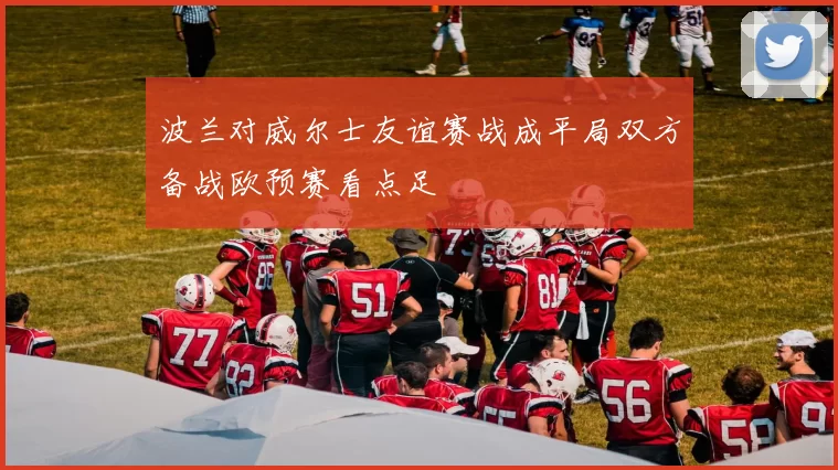 波兰对威尔士友谊赛战成平局双方备战欧预赛看点足