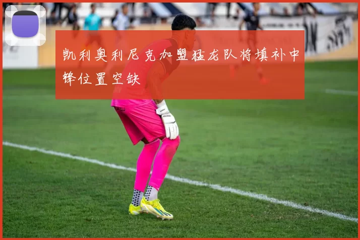 凯利奥利尼克加盟猛龙队将填补中锋位置空缺