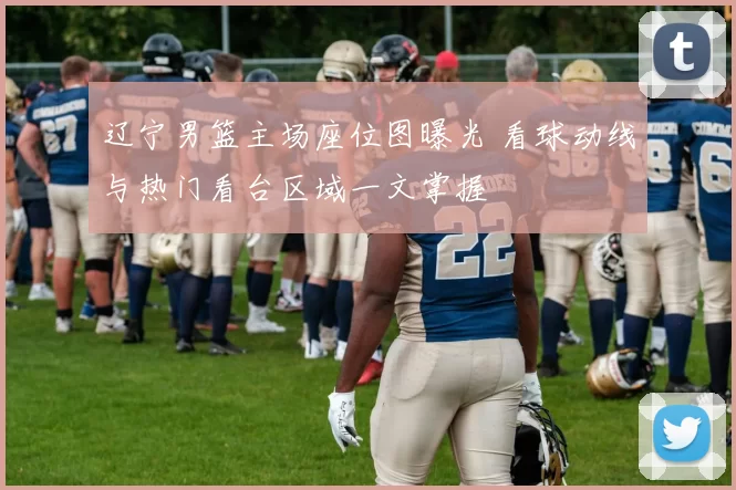 辽宁男篮主场座位图曝光 看球动线与热门看台区域一文掌握