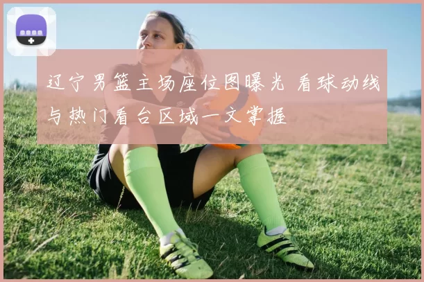 辽宁男篮主场座位图曝光 看球动线与热门看台区域一文掌握